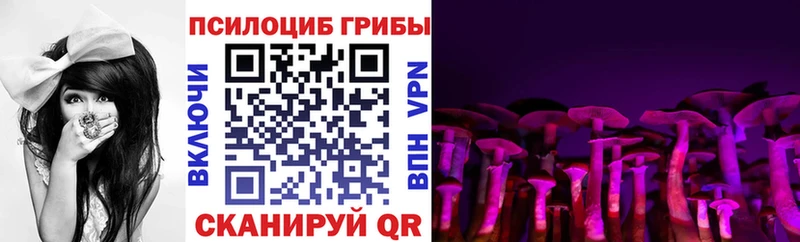 Псилоцибиновые грибы мухоморы  blacksprut ссылки  Меленки 